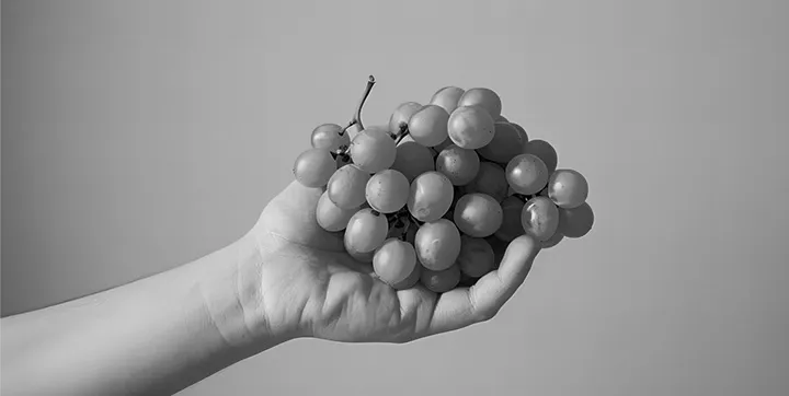 transmission de l'exploitation agricole